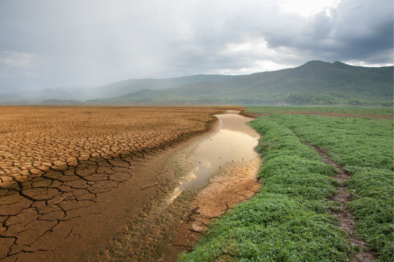 El impacto de la crisis climática en la producción de alimentos en Honduras