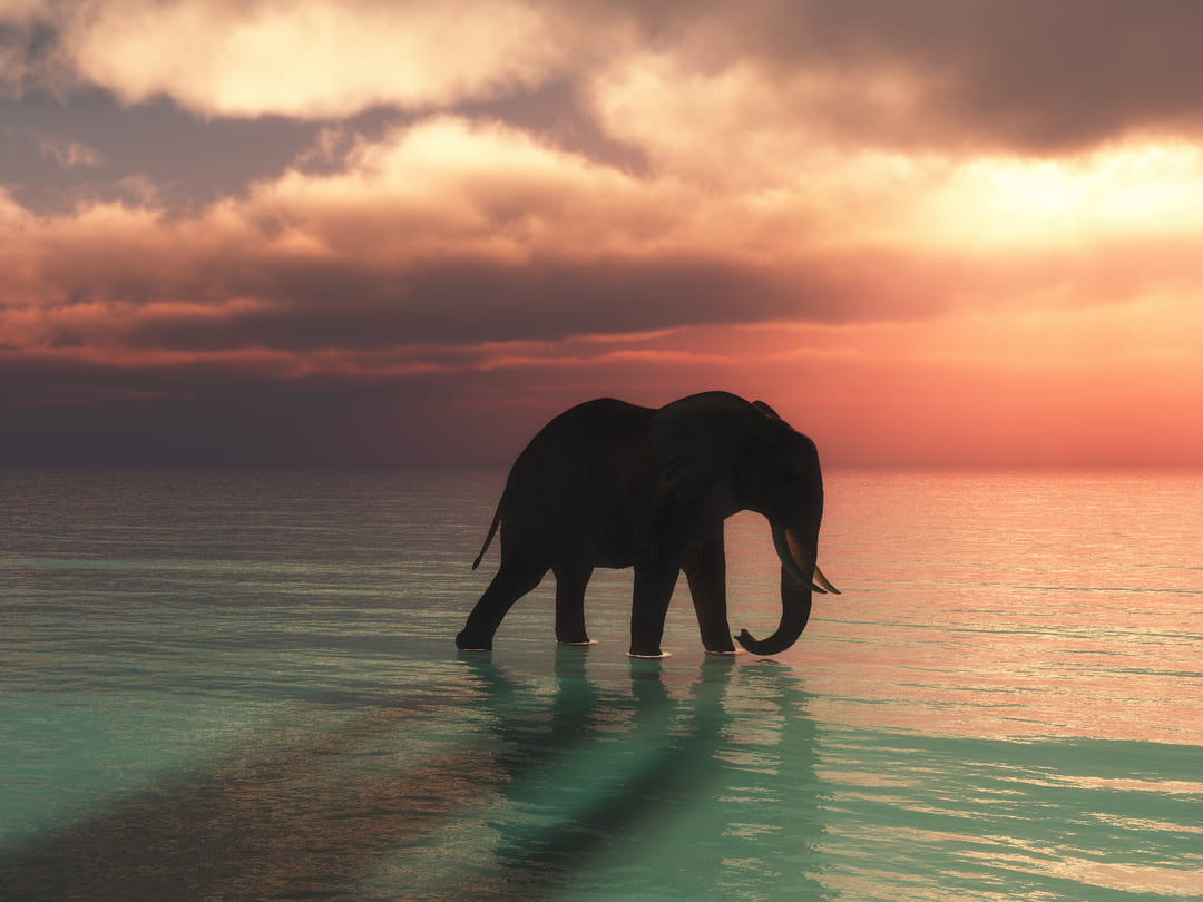 Conservación y compromiso: Ficohsa se une a United for Wildlife
